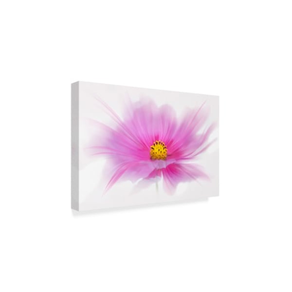 Cora Niele 'Dancing Flower Deep Pink Cosmos' Canvas Art,22x32